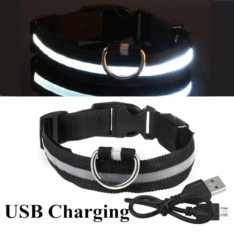 Adjustable LED Glowing Pet Dog Cat Collar - keep your pet safe during evening walks