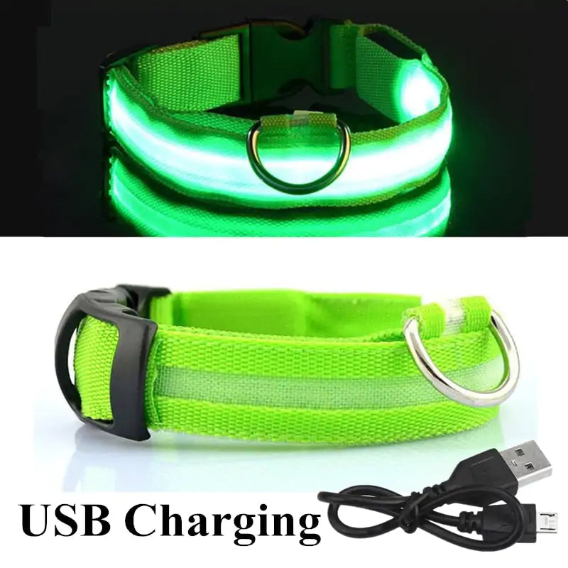 Adjustable LED Glowing Pet Dog Cat Collar - keep your pet safe during evening walks