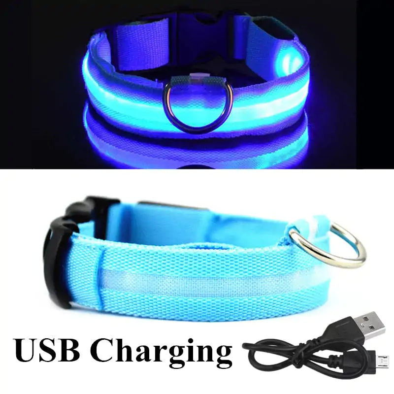 Adjustable LED Glowing Pet Dog Cat Collar - keep your pet safe during evening walks