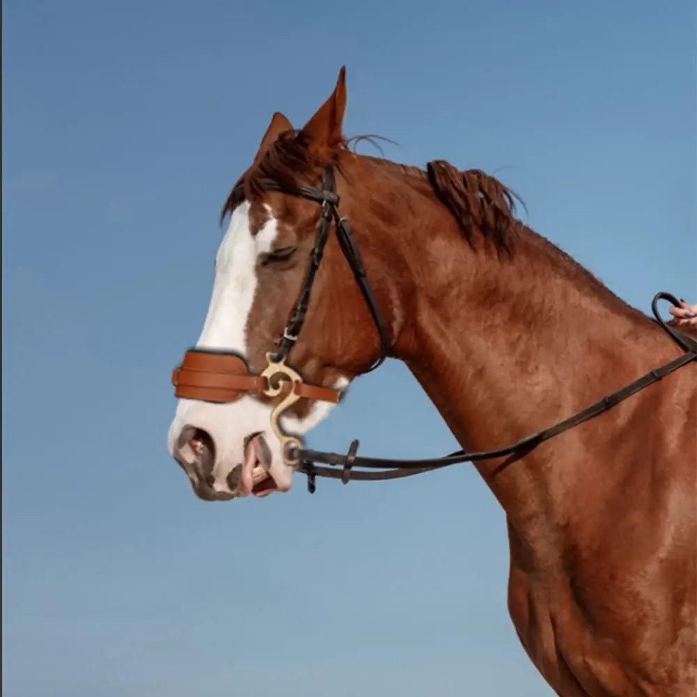 Hackamore Horse Bit Brown Bridle Leather Padded English Western Adjustable Nose Curb Chain Horse Riding Equipment Equestrian