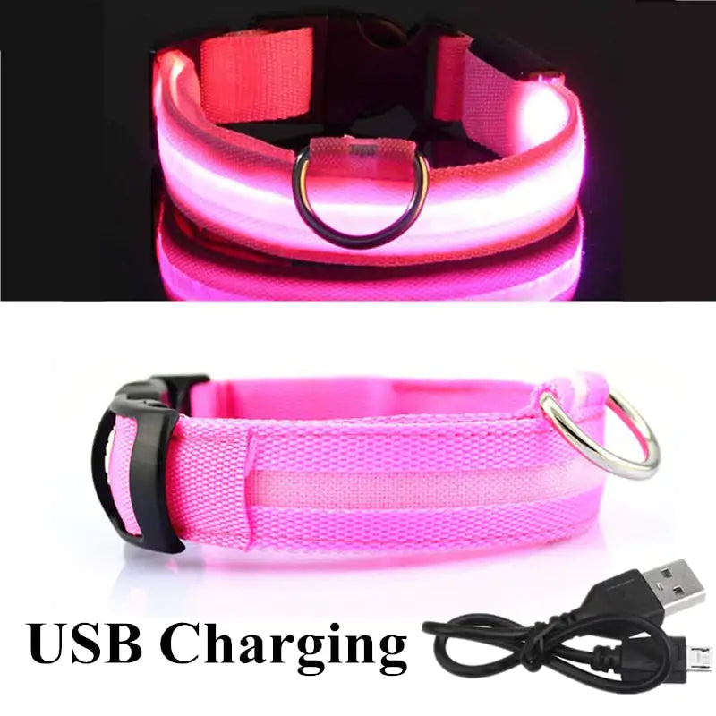 Adjustable LED Glowing Pet Dog Cat Collar - keep your pet safe during evening walks