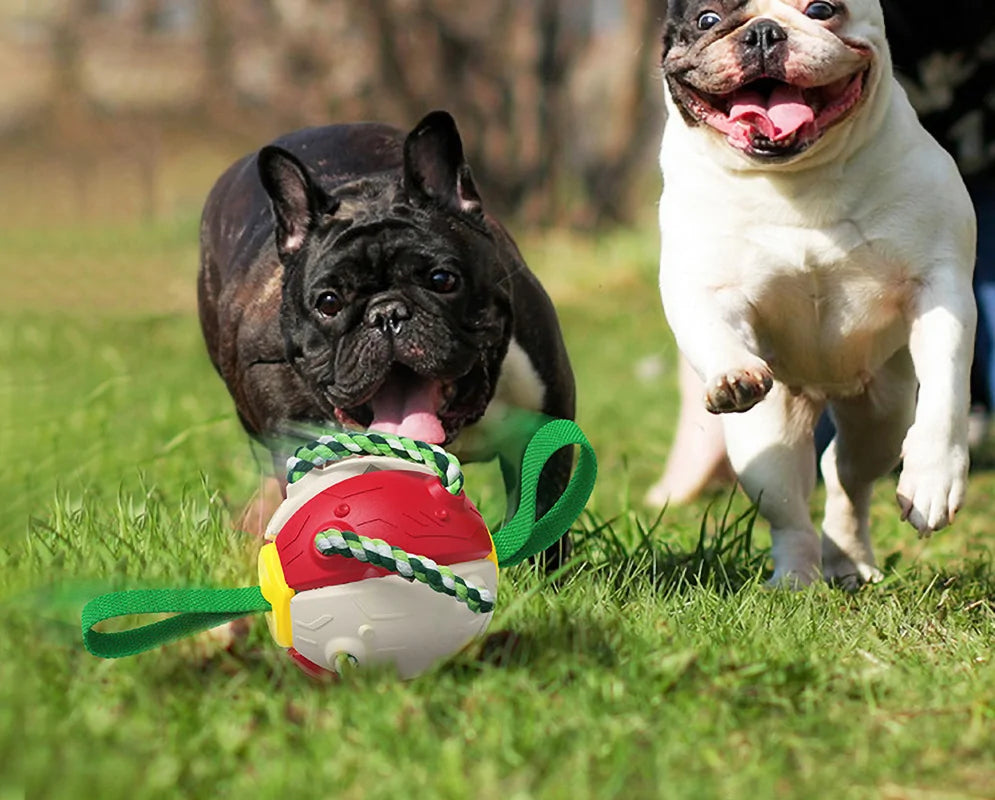 Rebound Frisbee ball Interactive Dog Toy will keep your Dog Pup entertained for hours durable materials