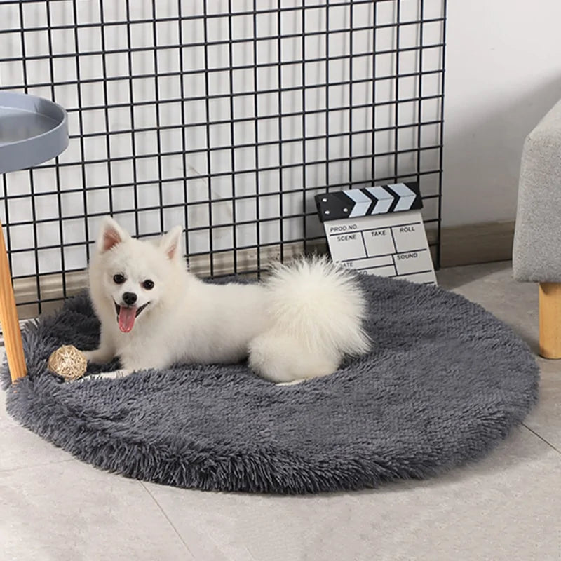 Round Dog Bed perfect sleeping space for your furry friend  made with really soft velvet material perfect for your dog  luxurious sleeping experience