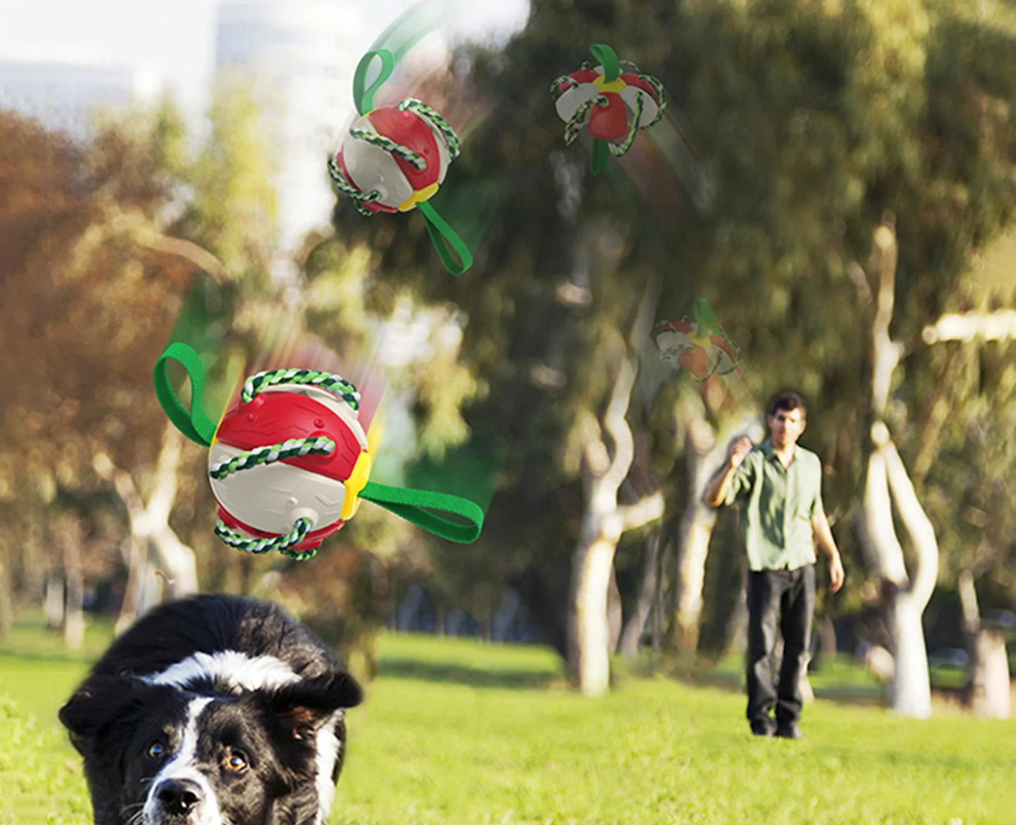 Rebound Frisbee ball Interactive Dog Toy will keep your Dog Pup entertained for hours durable materials