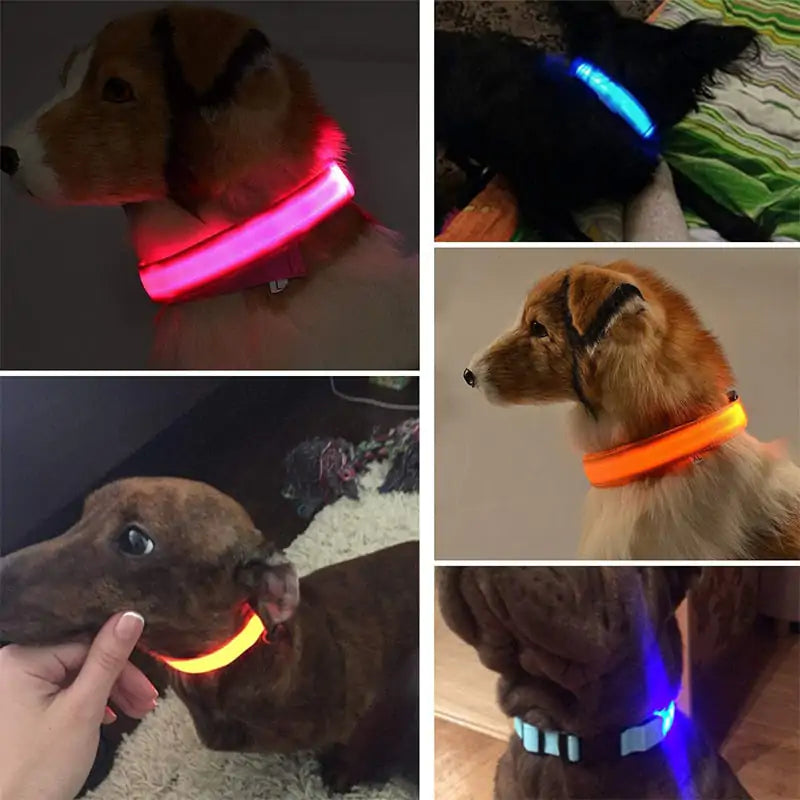 Adjustable LED Glowing Pet Dog Cat Collar - keep your pet safe during evening walks