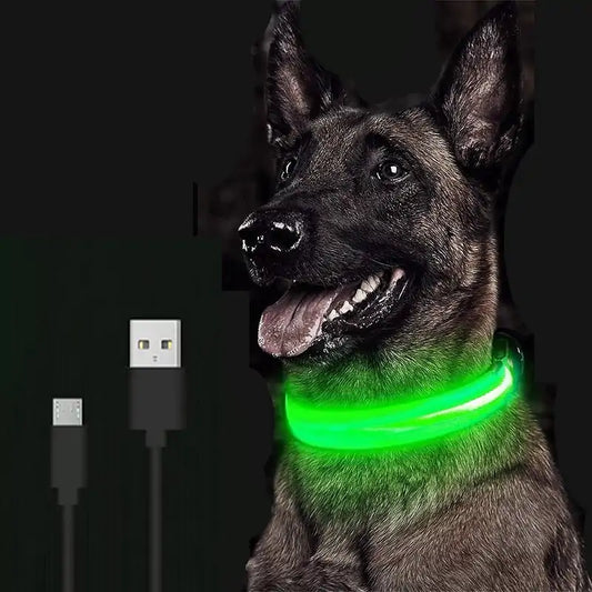 Adjustable LED Glowing Pet Dog Cat Collar - keep your pet safe during evening walks