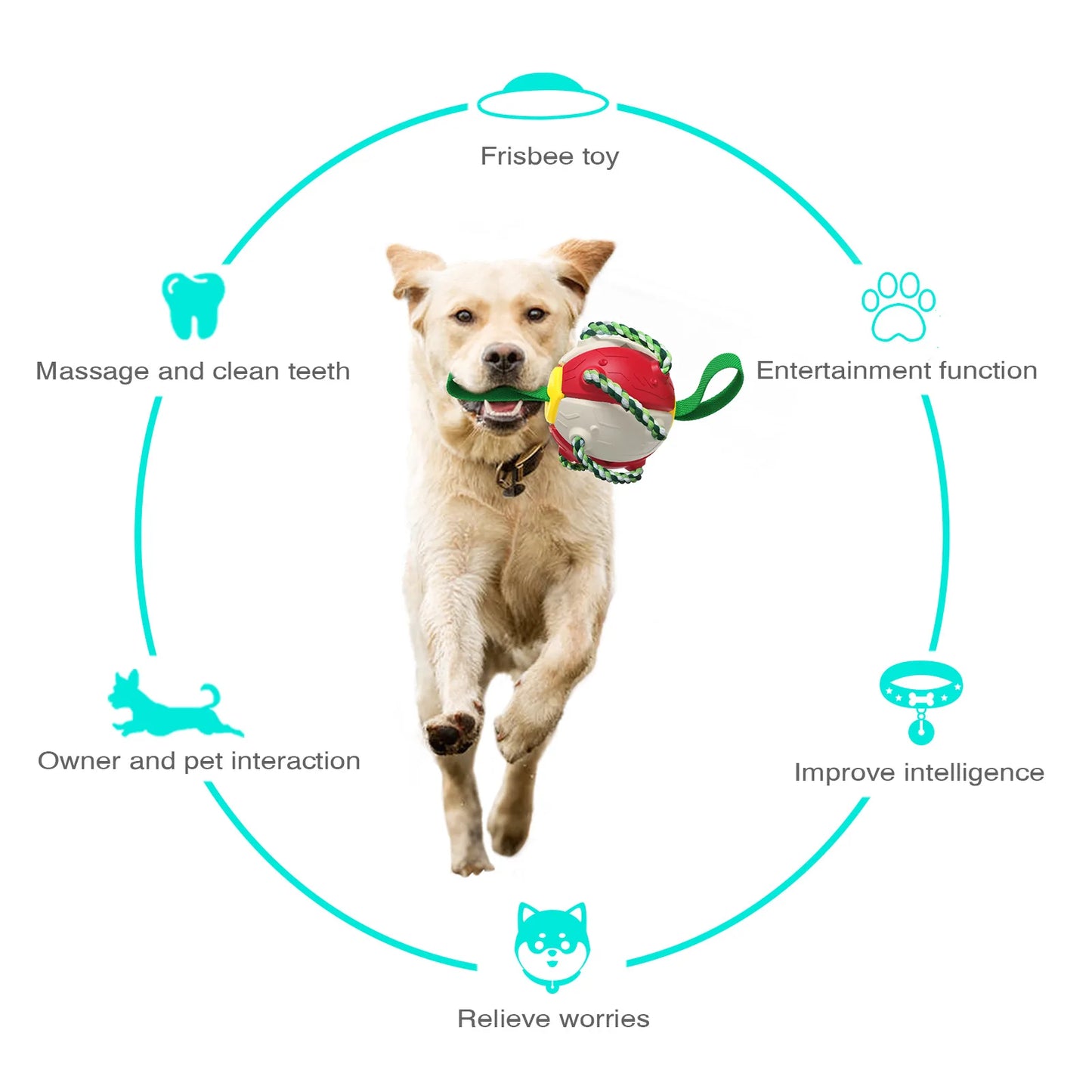 Rebound Frisbee ball Interactive Dog Toy will keep your Dog Pup entertained for hours durable materials