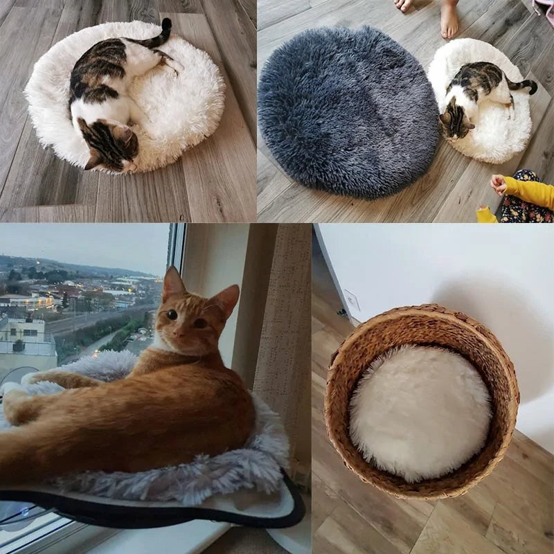 Round Dog Bed perfect sleeping space for your furry friend  made with really soft velvet material perfect for your dog  luxurious sleeping experience