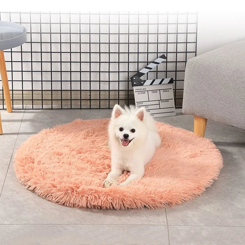 Round Dog Bed perfect sleeping space for your furry friend  made with really soft velvet material perfect for your dog  luxurious sleeping experience